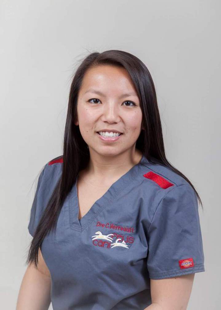 Vaccination pour chien et chat, Boucherville