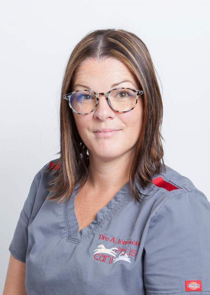 Dentisterie pour chien et chat, Chambly