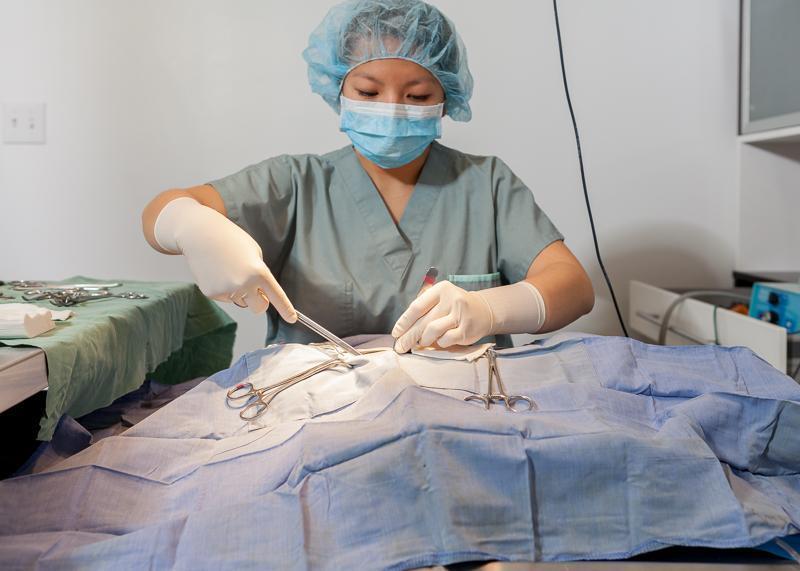 Chirurgie pour chien et chat Longueuil