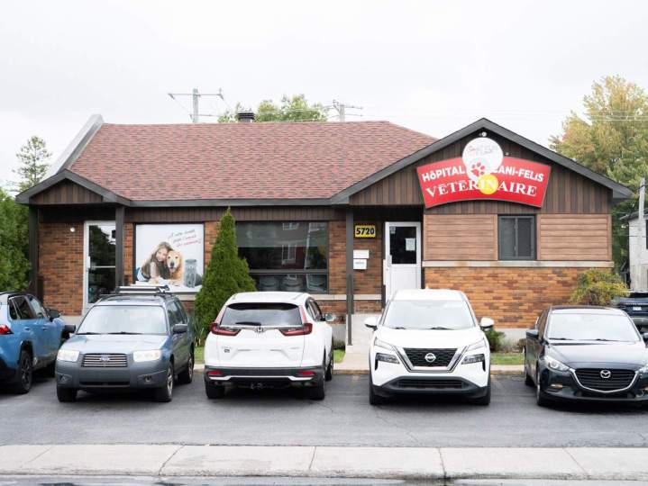 Clinique vétérinaire SAINT-HUBERT