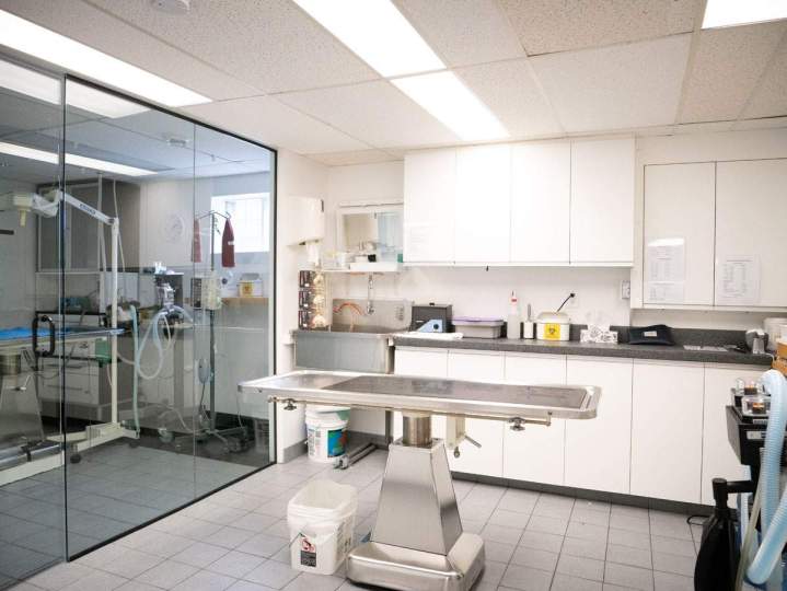 Dentistry SAINT-HUBERT