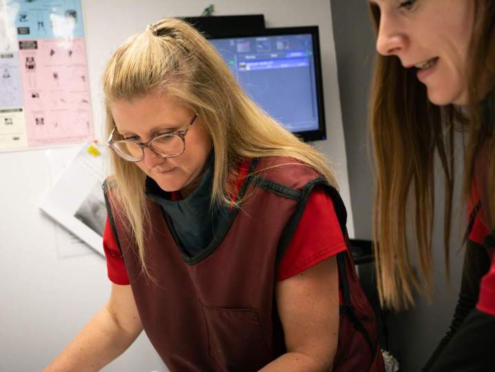 Hospitalization - Saint-Hubert