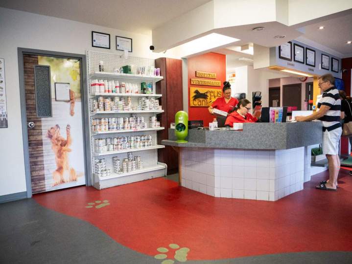 CANI - FELIS Veterinary Hospital - SAINT-HUBERT.