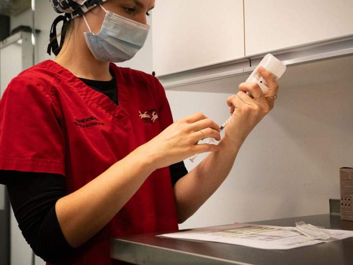 CANI - FELIS Veterinary Hospital - SAINT-HUBERT.