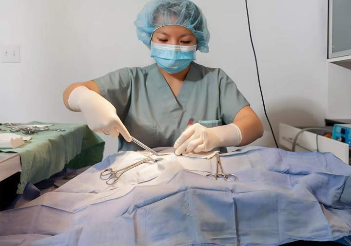 Surgery - Saint-Hubert