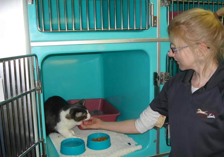 Clinique vétérinaire SAINT HUBERT