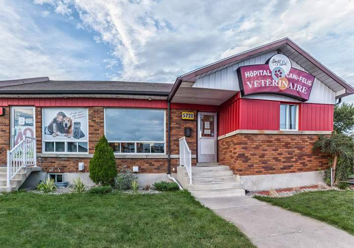 Consultation vétérinaire chien chat SAINT HUBERT