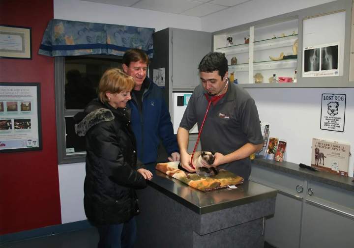 CANI - FELIS Veterinary Hospital - SAINT-HUBERT.