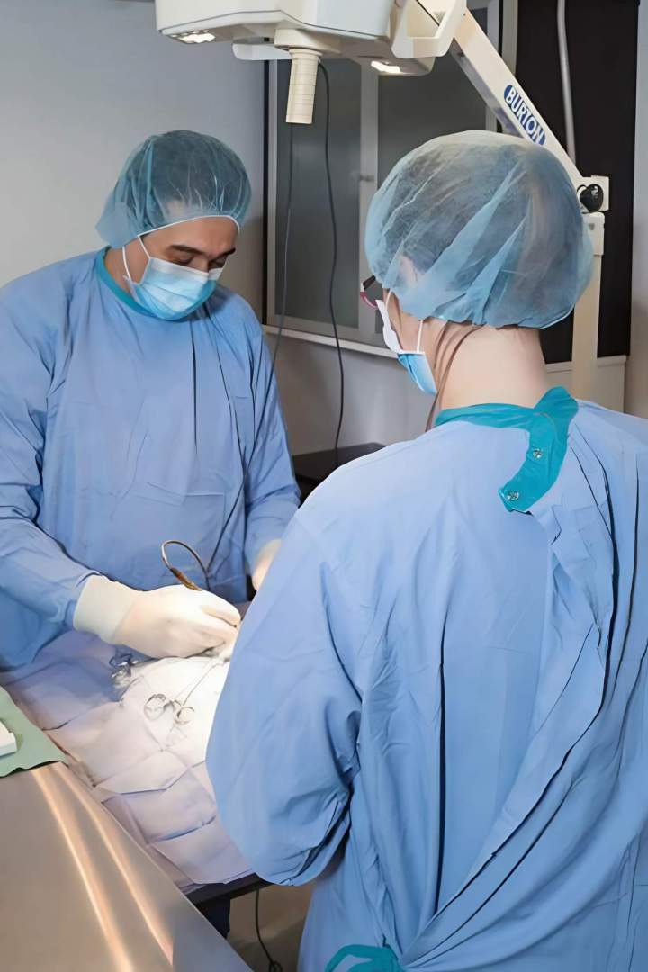 Surgery - Saint-Hubert