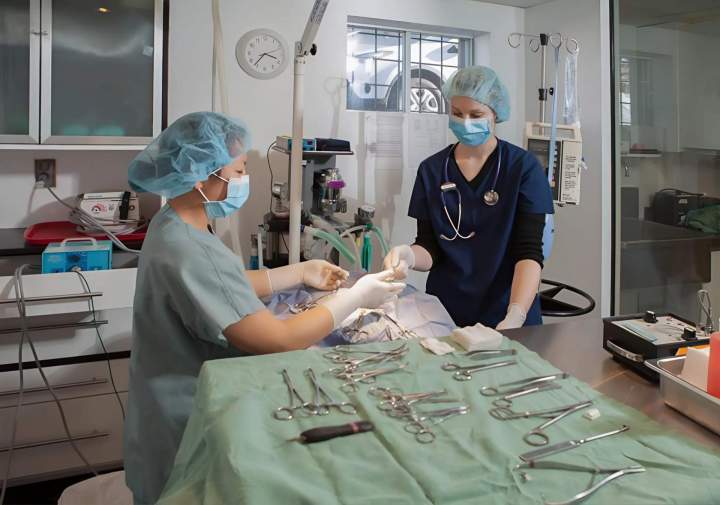 Surgery - Saint-Hubert