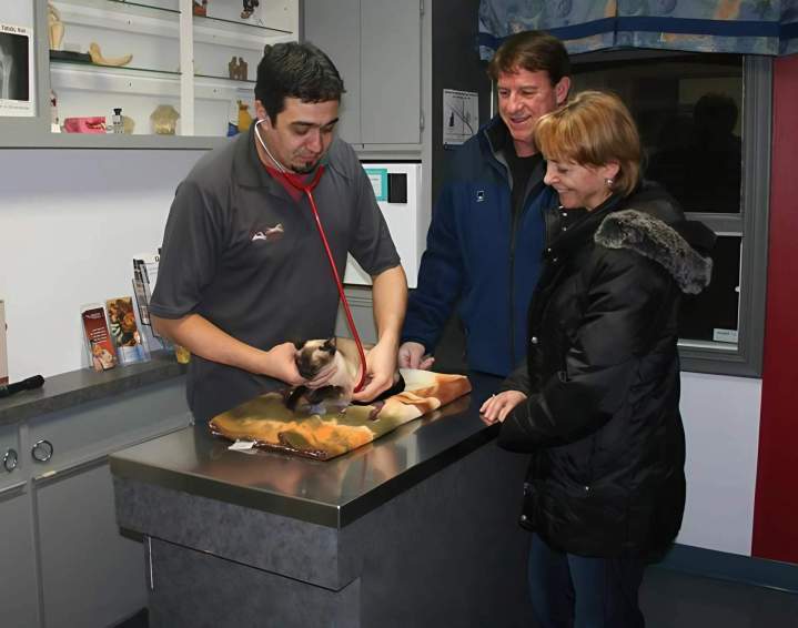 Vaccination chien et chat SAINT-HUBERT